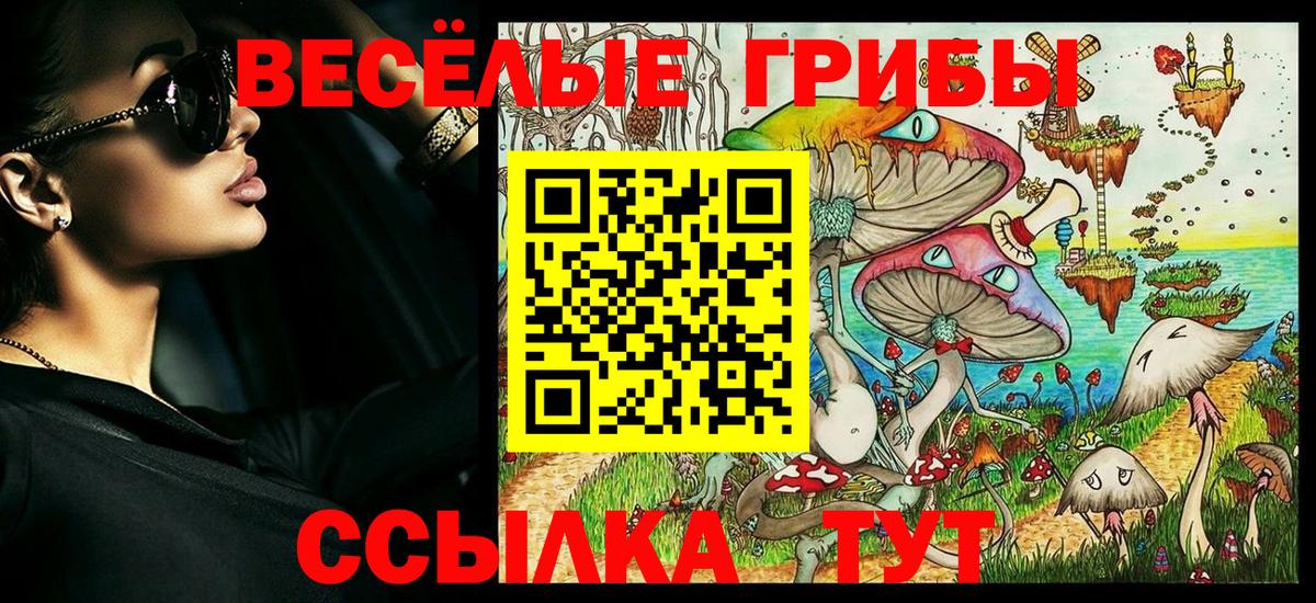Галлюциногенные грибы Psilocybine cubensis  Вход с VPN  где купить   Мирный 